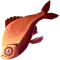 血鲷鱼